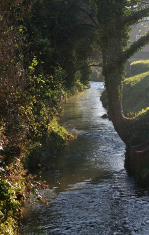 Love Your River Chelt Gloucestershire Wildlife Trust